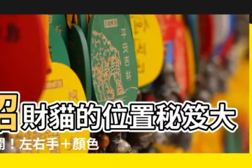 【招財貓 位置】招財貓的位置秘笈大公開！左右手＋顏色解析助你財源滾滾來