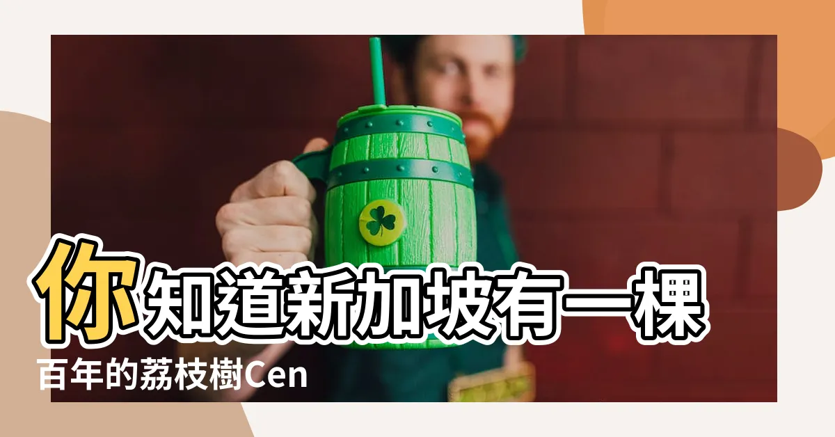 【百年荔枝樹】你知道新加坡有一棵百年的荔枝樹Century |圓林仔2棵逾百年樹齡荔枝王結實累累 |荔枝產季到了 |