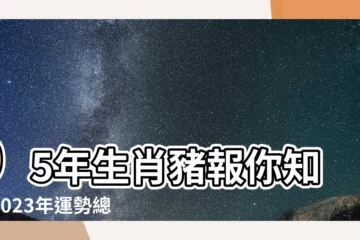 【95年生肖】95年生肖豬報你知！2023年運勢總整理