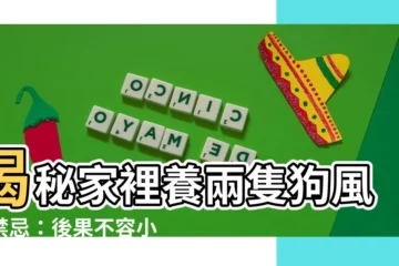【家裡養兩隻狗風水】揭秘家裡養兩隻狗風水禁忌：後果不容小覷！