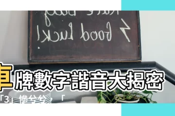 【車牌數字諧音】車牌數字諧音大揭密！「3」慘兮兮，「8888」落伍了！