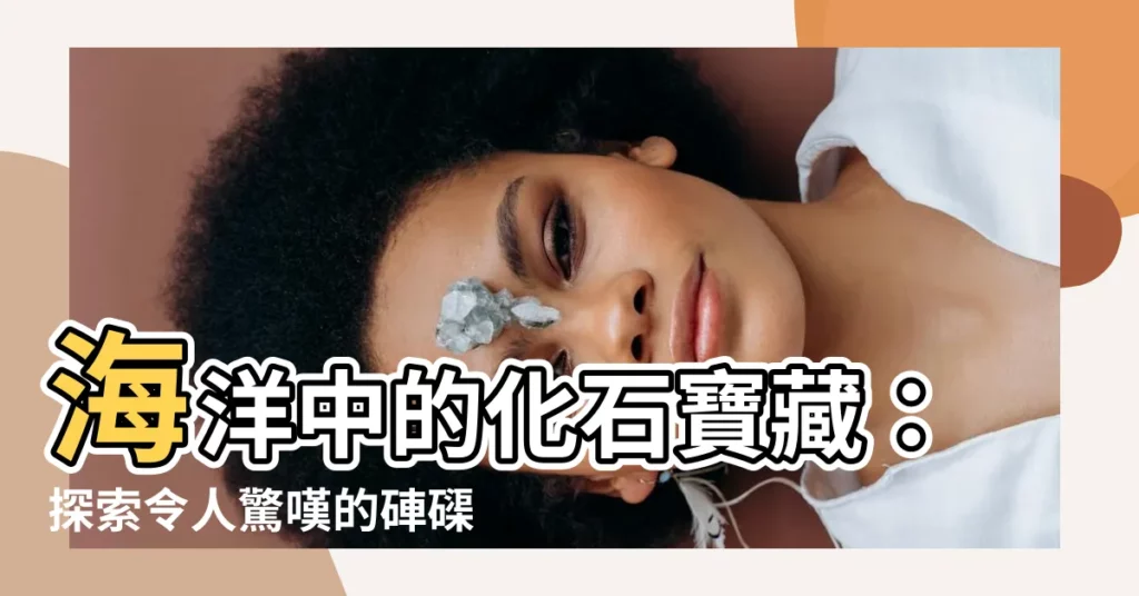 【硨磲貝化石】海洋中的化石寶藏：探索令人驚嘆的硨磲貝化石