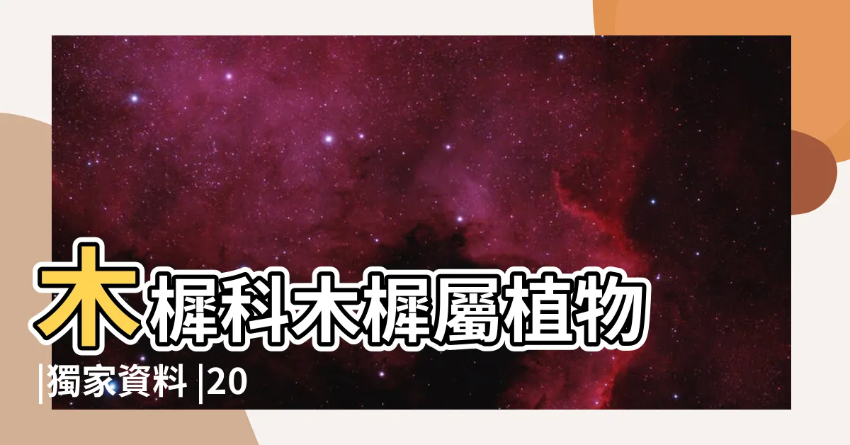 【桂花開花條件】木樨科木樨屬植物 |獨家資料 |2024年更新 |