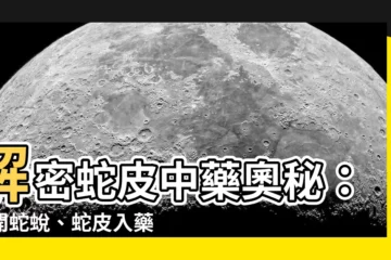 【蛇皮 中藥】解密蛇皮中藥奧秘：揭開蛇蜕、蛇皮入藥的養生奇效