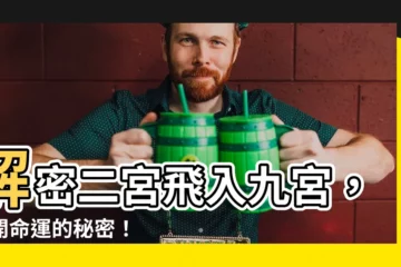 【二宮飛入九宮】解密二宮飛入九宮，揭開命運的秘密！