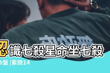 【七殺星運程】認識七殺星命坐七殺的命盤 |紫微14主星 |紫微14主星 |