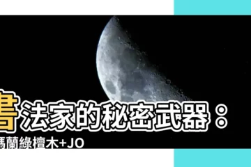 【木 書法】書法家的秘密武器：葛瑪蘭綠檀木+JOWO彈鋼書法尖