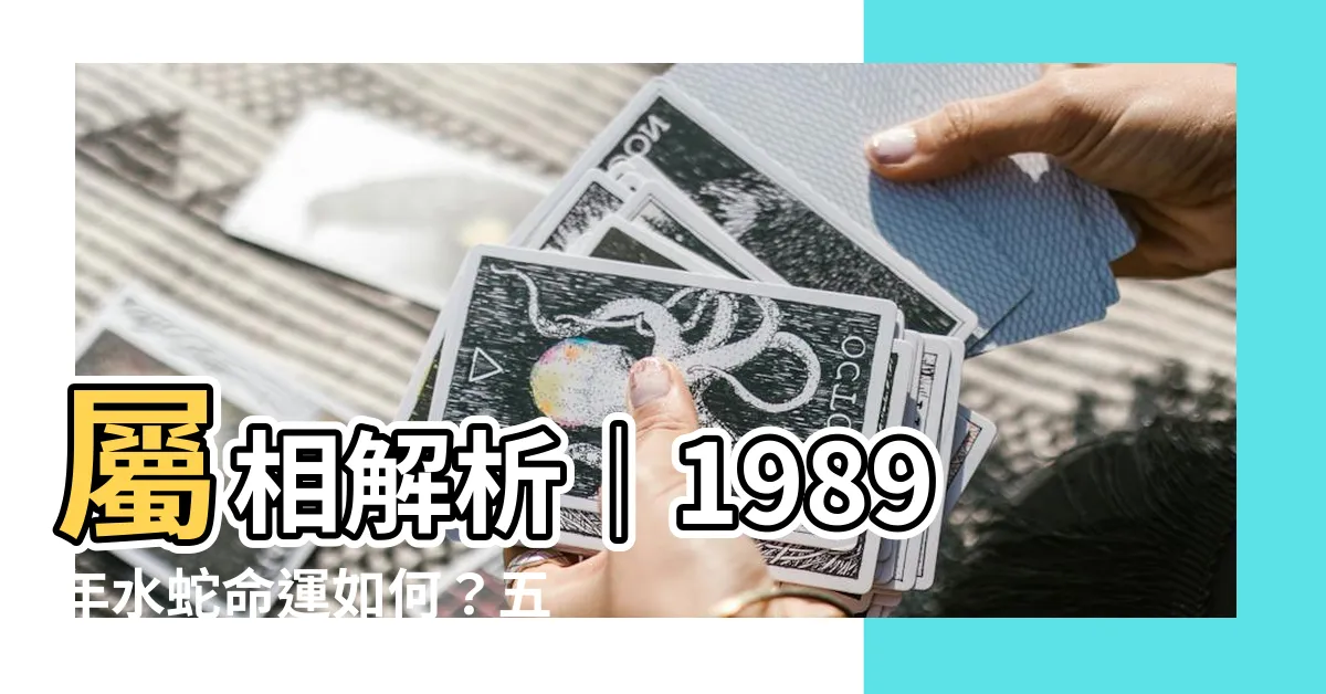 【1989水蛇】屬相解析｜1989年水蛇命運如何？五行屬什麼、天乙貴人方位