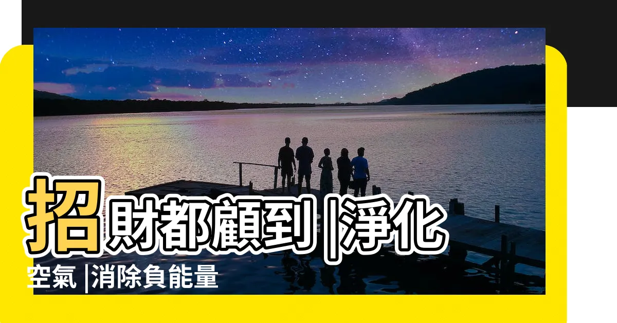 【龜背芋 招財】招財都顧到 |淨化空氣 |消除負能量 |