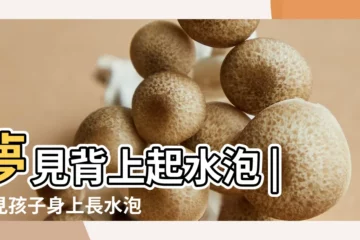 【夢見孩子起來水泡】夢見背上起水泡 |夢見孩子身上長水泡 |夢見孩子背上長滿水泡 |