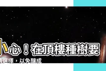 【頂樓種樹】小心！在頂樓種樹要審慎選擇，以免釀成悲劇