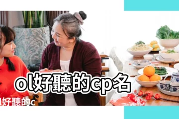 【英雄聯盟cp網名】lol好聽的cp名 |lol好聽的cp名字 |英雄聯盟情侶名字 |