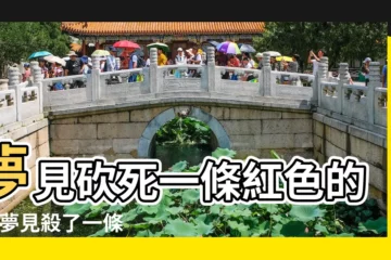 【做夢夢到我殺了一條紅蛇】夢見砍死一條紅色的蛇 |夢見殺了一條紅色的蛇 |夢見殺死紅色的蛇 |