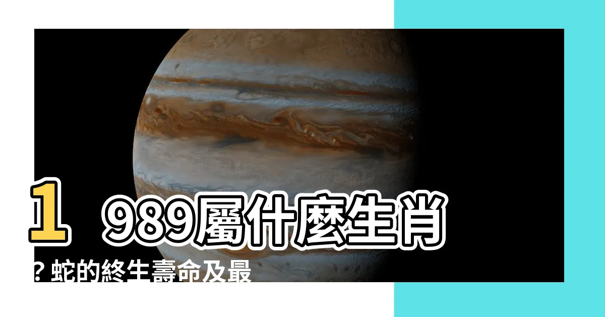 【1989屬什麼】1989屬什麼生肖？蛇的終生壽命及最佳婚配相關分析！