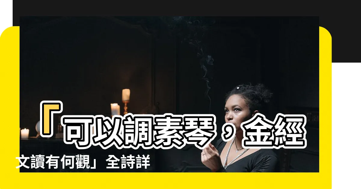 【可以調素琴】「可以調素琴，金經文讀有何觀」全詩詳解與賞析