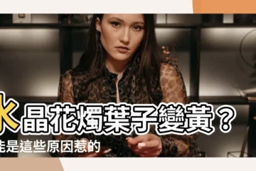 【水晶花燭葉子變黃】水晶花燭葉子變黃？可能是這些原因惹的禍！