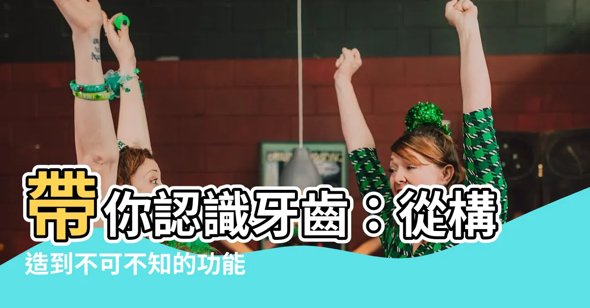 【牙齒的功能】帶你認識牙齒：從構造到不可不知的功能！