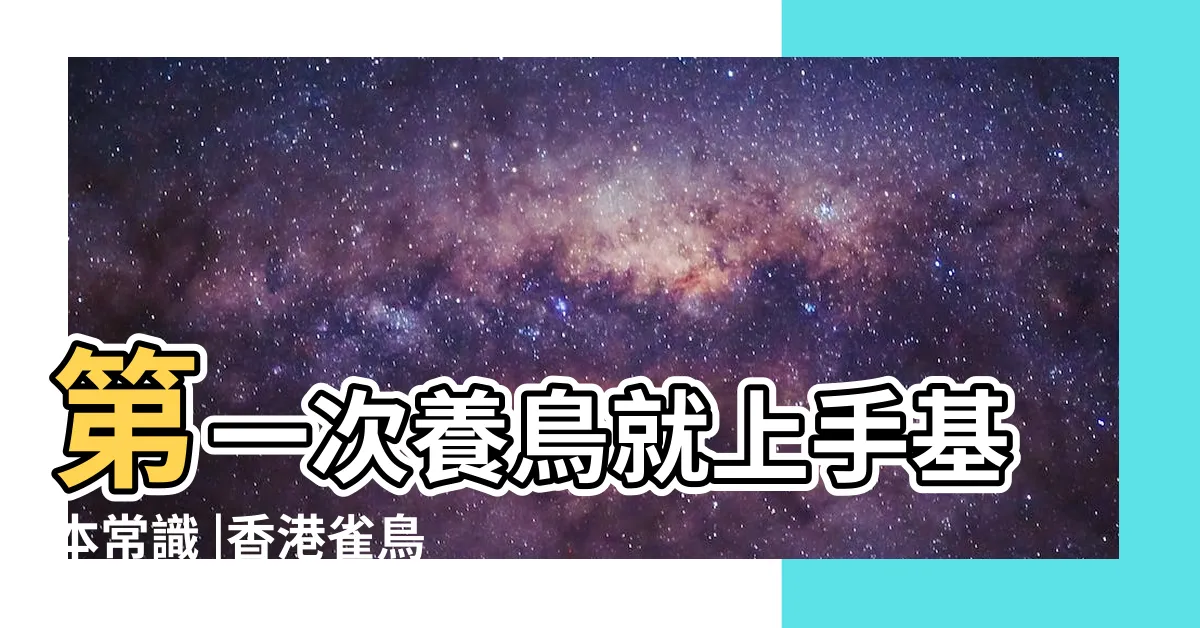 【養雀】第一次養鳥就上手基本常識 |香港雀鳥文化交流及討論區 |養雀新手必先注意事項 |
