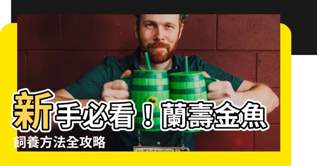 【蘭壽金魚飼養方法】新手必看！蘭壽金魚飼養方法全攻略