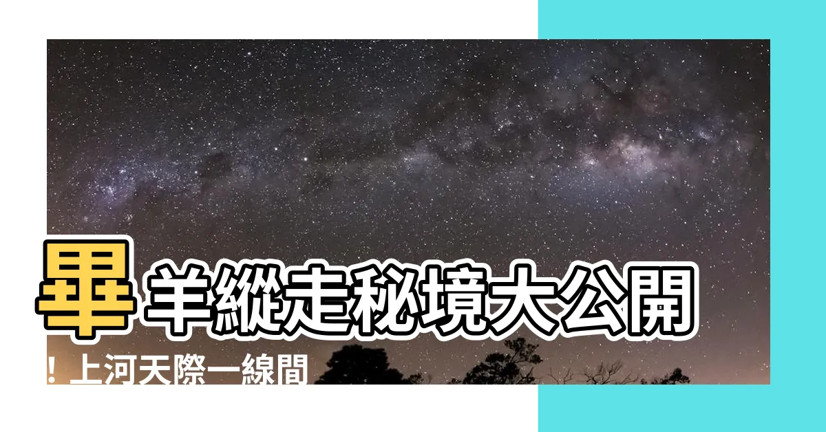 【畢羊縱走 上河】畢羊縱走秘境大公開！上河天際一線間