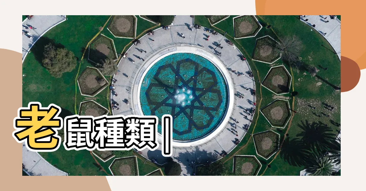 【鼠的種類】老鼠種類 |