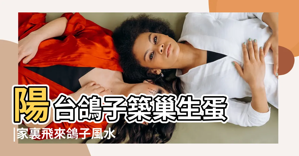 【鴿子跑來家裡】陽台鴿子築巢生蛋 |家裏飛來鴿子風水徵兆 |成羣到訪寓意好 |