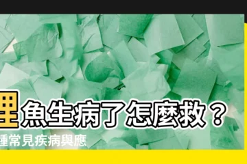 【鯉魚生病】鯉魚生病了怎麼救？10種常見疾病與應對指南