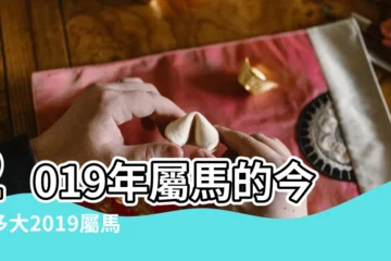 【屬馬2019年多大虛歲】2019年屬馬的今年多大2019屬馬幾歲了 |屬馬的今年多大了2019 |屬馬虛歲今年幾歲 |