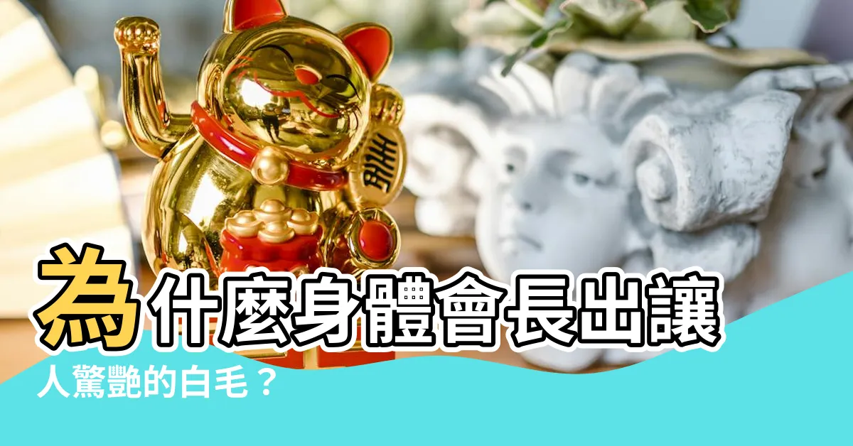 【身體白毛】為什麼身體會長出讓人驚艷的白毛？