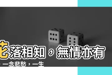 【花落相知】花落相知，無情亦有情，一念悲愁，一生牽繫