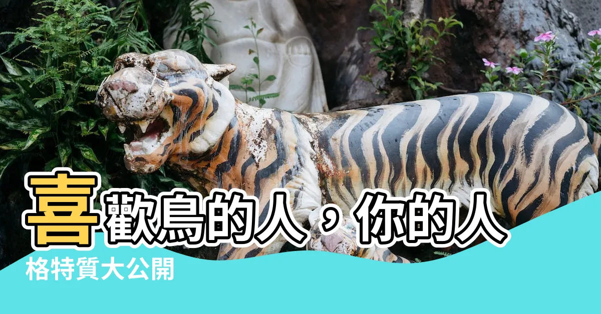 【喜歡鳥的人】喜歡鳥的人，你的人格特質大公開