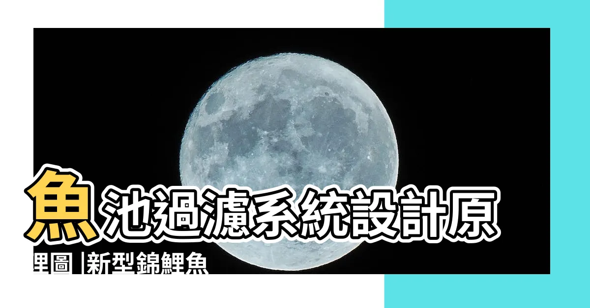 【魚池過濾設計】魚池過濾系統設計原理圖 |新型錦鯉魚池過濾系統設計 |錦鯉魚池過濾系統設計的13條建議 |
