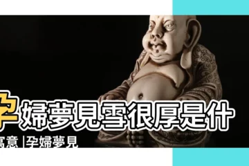 【周公解夢孕婦夢見雪厚】孕婦夢見雪很厚是什麼寓意 |孕婦夢見雪地是什麼意思預兆 |懷孕的人夢到好厚的雪 |