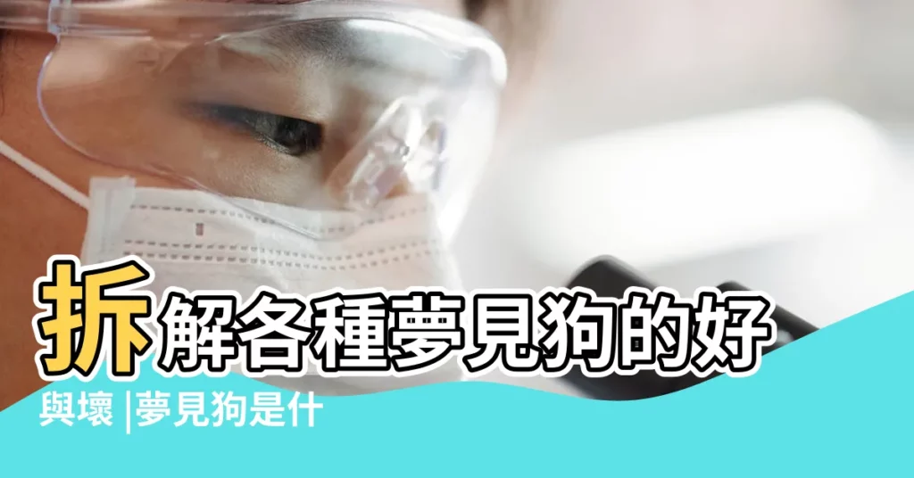 拆解各種夢見狗的好與壞 |夢見狗是什麼預兆 |夢見狗代表生活上滿足 |【周公解夢夢見狗什麼意思】