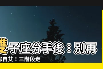 【雙子座分手後】雙子座分手後：別再自怨自艾！三階段走出情傷