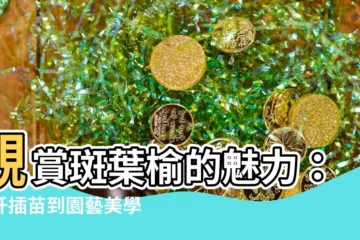 【斑葉榆】觀賞斑葉榆的魅力：從扦插苗到園藝美學