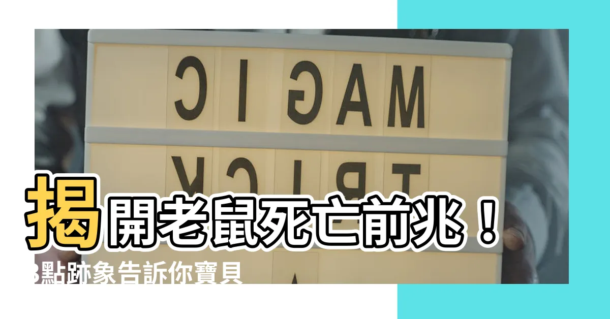 【老鼠死亡前兆】揭開老鼠死亡前兆！3點跡象告訴你寶貝快不行了