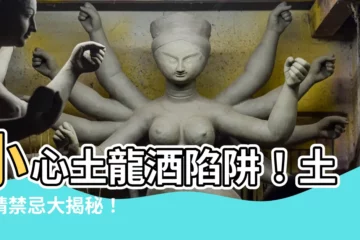 【土龍精禁忌】小心土龍酒陷阱！土龍精禁忌大揭秘！
