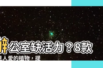 【辦公室適合放什麼植物】辦公室缺活力？8款人見人愛的植物，提升辦公室質感又招財！