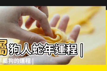 【屬蛇的人在狗年運勢】屬狗人蛇年運程 |蛇年屬狗的運程 |屬蛇人的十二生肖流年運勢 |