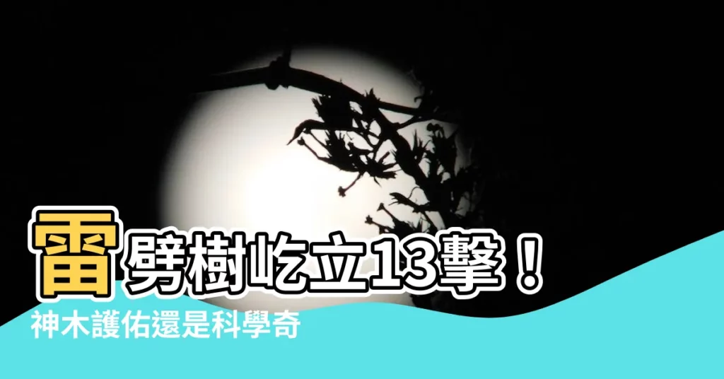 【雷劈樹】雷劈樹屹立13擊!神木護佑還是科學奇蹟?揭秘令人驚奇的雷劈樹
