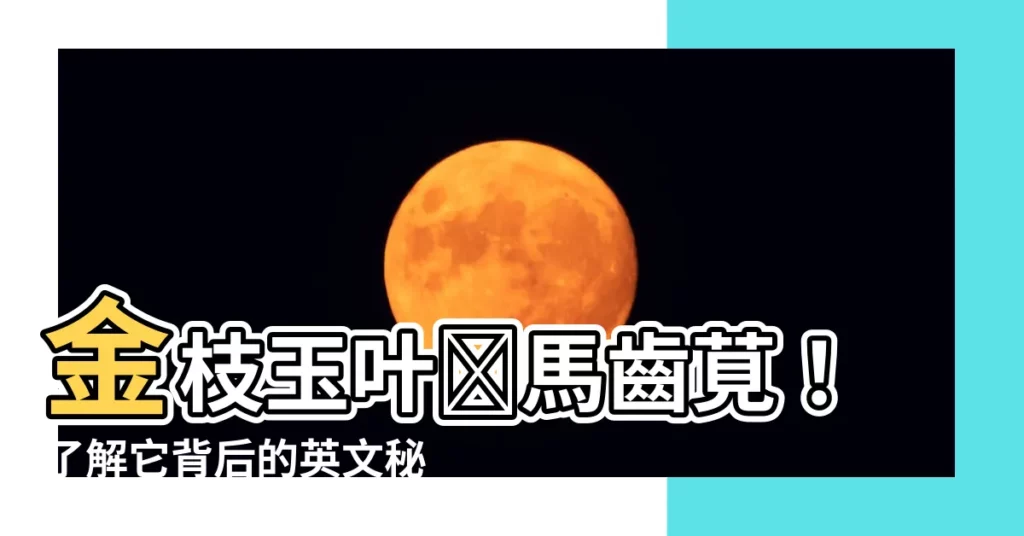 【金枝玉葉植物英文】金枝玉葉樹馬齒莧！瞭解它背後的英文秘密