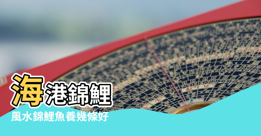 【錦鯉養2條風水】海港錦鯉 |風水錦鯉魚養幾條好 |錦鯉風水魚養幾條好 |