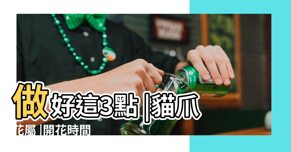 【貓爪花】做好這3點 |貓爪花屬 |開花時間 |