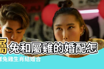【屬兔的 到了雞年好不好】屬兔和屬雞的婚配怎麼樣兔雞生肖結婚合適嗎 |屬兔和屬雞相沖怎麼辦 |屬兔的和屬雞2023年婚姻運勢好不好彼此六沖婚姻坎坷 |