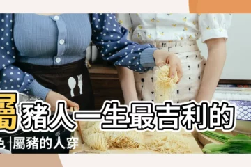 【屬豬的那個顏色好】屬豬人一生最吉利的顏色 |屬豬的人穿什麼顏色衣服最好 |2023最吉利顏色 |
