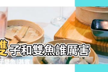 【雙子女和雙魚女誰聰明】雙子和雙魚誰厲害 |雙子雙魚 |其實超級會撩 |