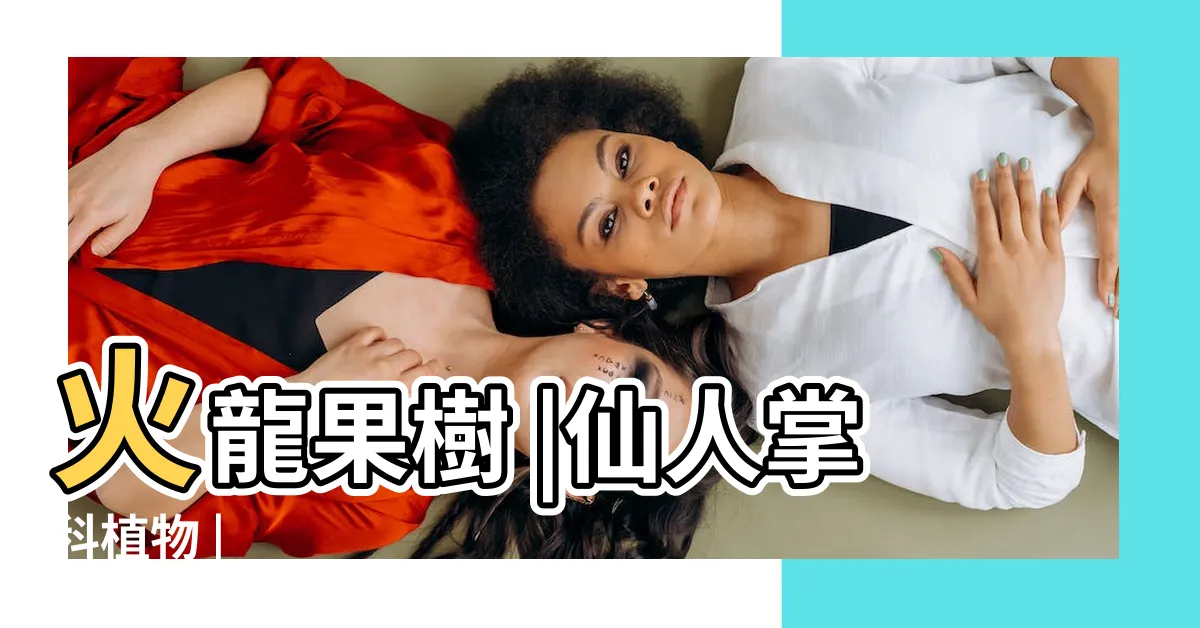 【火龍果樹】火龍果樹 |仙人掌科植物 |