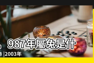 【2003年的本命佛】1987年屬兔是什麼命 |2003年屬羊佩戴什麼本命佛更佳 |2003年屬羊本命佛 |