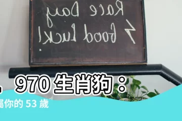 【1970 生肖】1970 生肖狗：專屬你的 53 歲運勢全揭密！